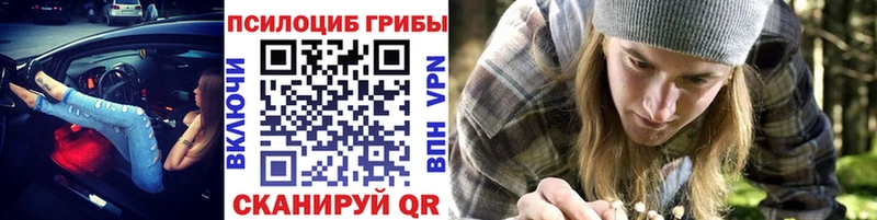mega ссылки  Кимовск  Галлюциногенные грибы GOLDEN TEACHER 